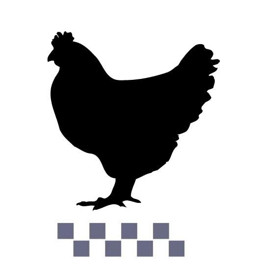 534x553 Stencil Vintage Chicken With Checks For Crafts Signs Country Farm
