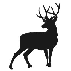 250x250 Deer Silhouette Silhoettes Silhouette, Cricut