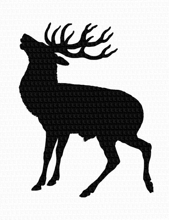 570x738 Wild Animal Deer Profile Silhouette Antique Vintage Clip Art