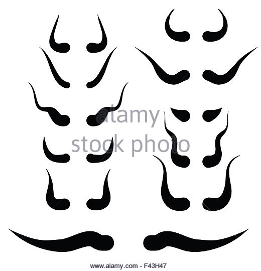 520x540 Pronghorn Antelope Black And White Stock Photos Amp Images