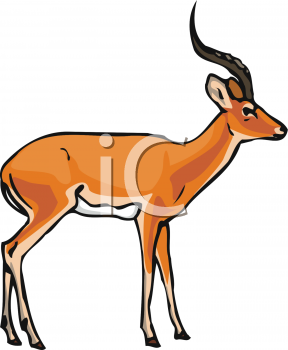 288x350 Pronghorn Antelope Clipart