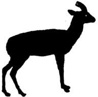 192x190 Pronghorn Antelope Silhouette Clip Art Free Image