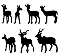 199x191 Antelope Buck Profile Stock Photos