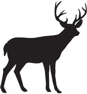 298x320 Antelope Clipart Silhouette