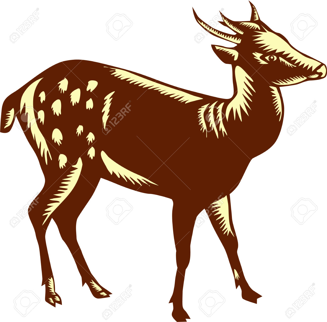 1300x1282 Antelope Clipart Rusa