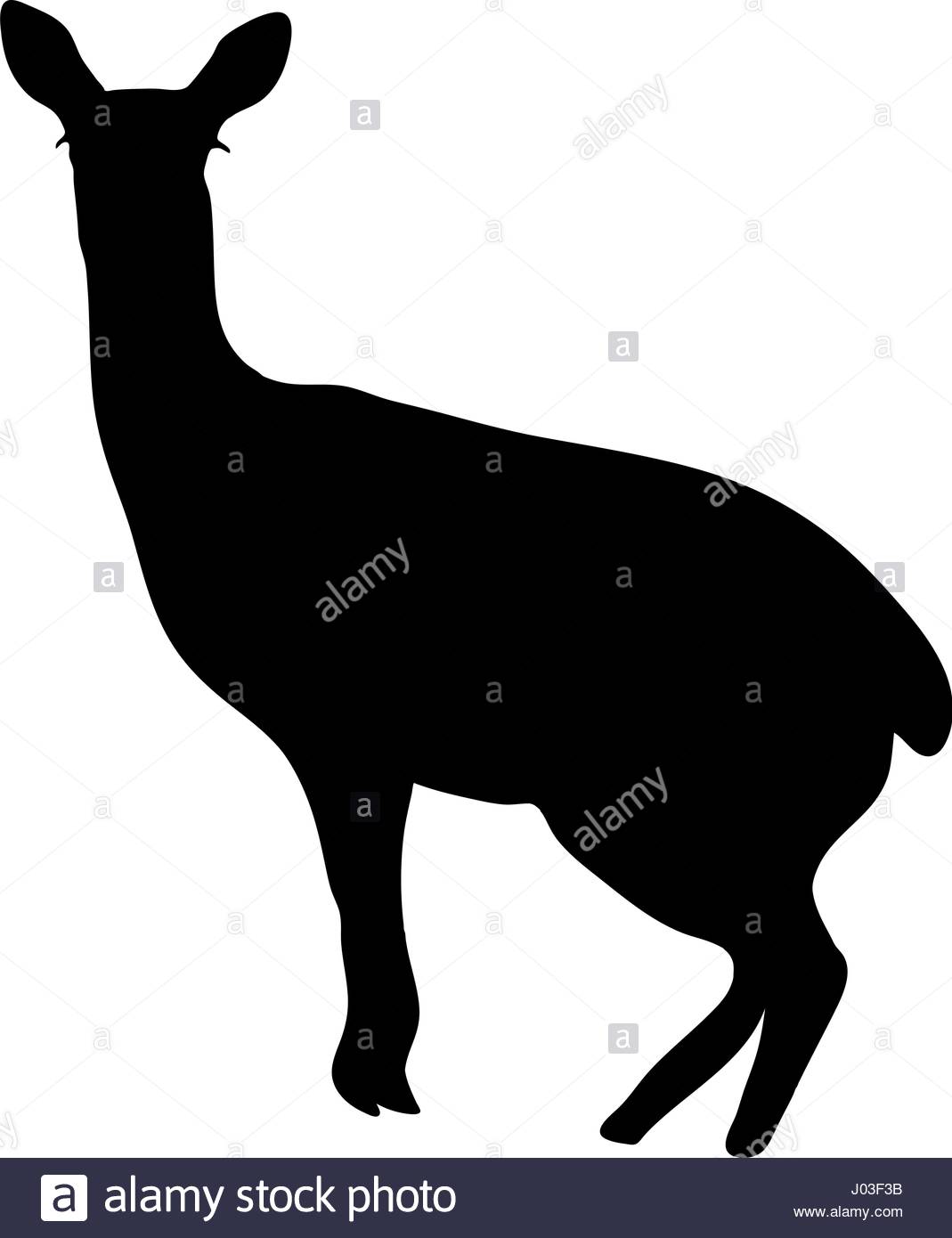 1069x1390 Antelope Stock Vector Images