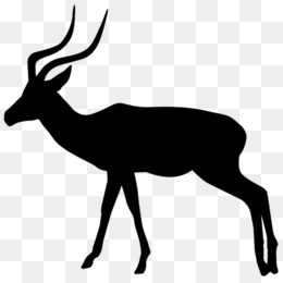 260x260 Gazelle Silhouette Impala Clip Art