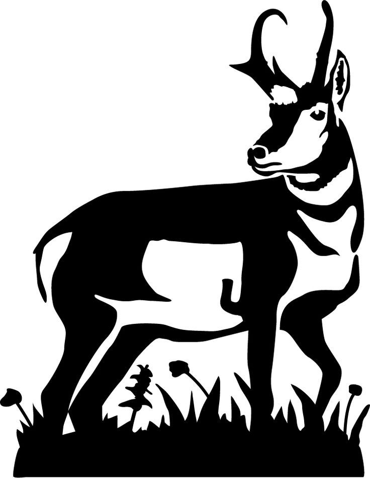 736x949 Pronghorn Antelope Clipart