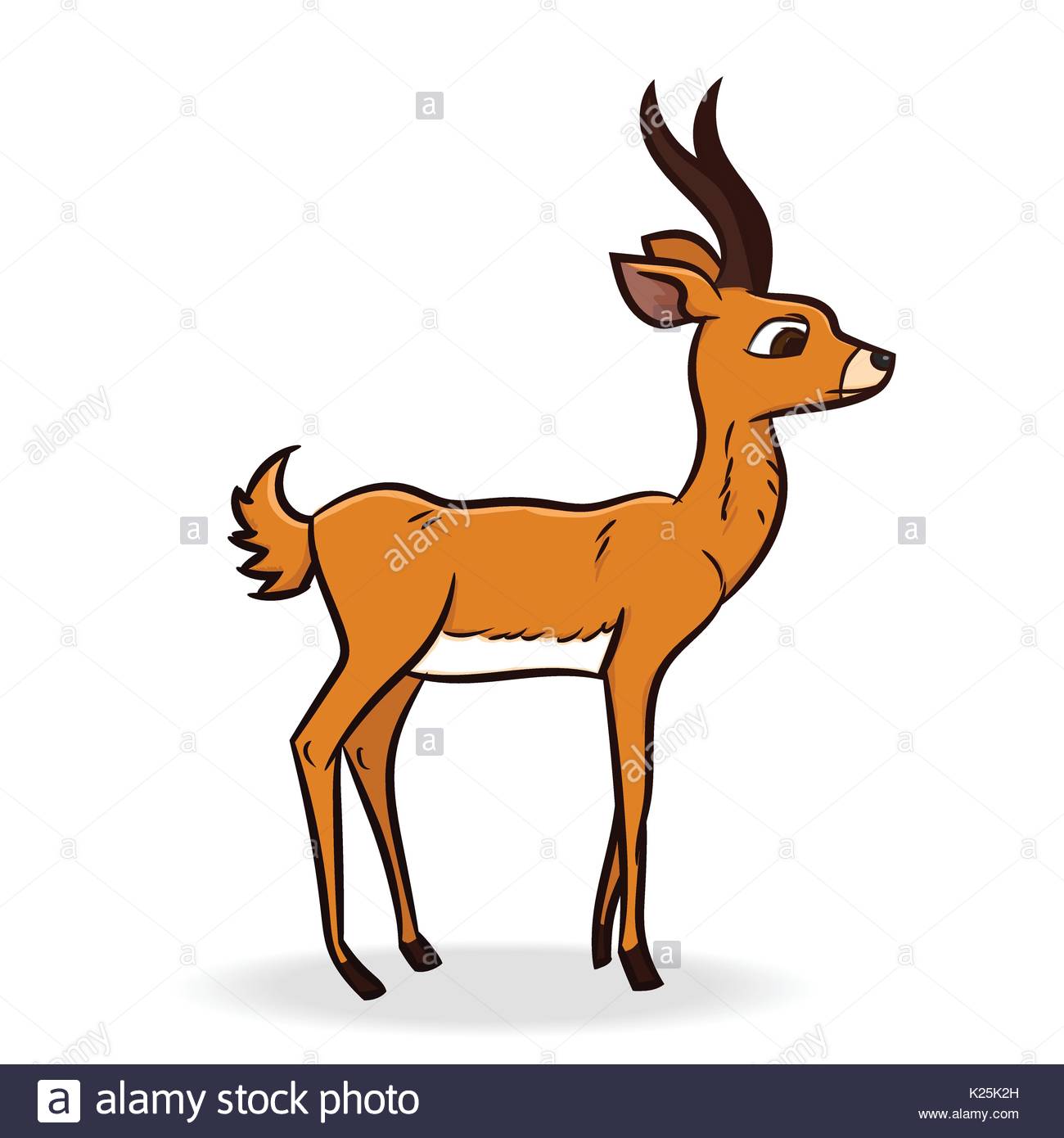 1300x1390 Antelope Cut Out Stock Images Amp Pictures