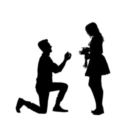 250x250 Proposal 004