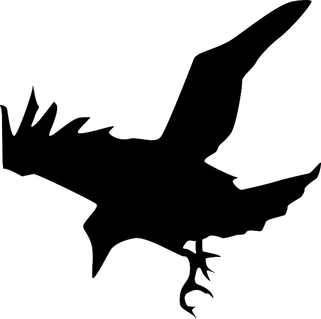 640x637 Flat, Sketch, Silhouette, Cartoon, Down, Eagle, Spring