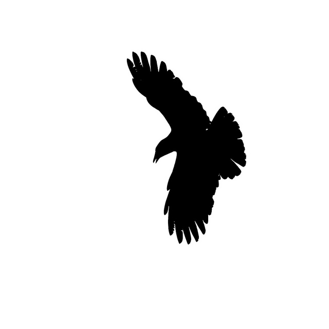 640x640 Raven Clipart Silhouette 3840782