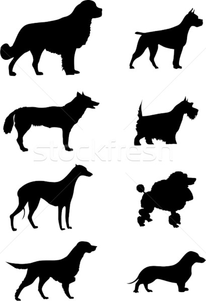410x600 Poodle Silhouette Stock Photos, Stock Images And Vectors Stockfresh