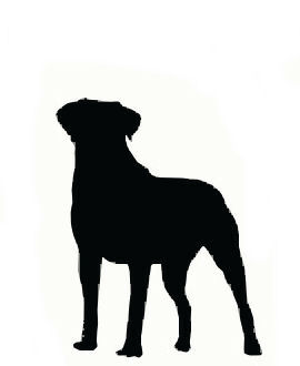 270x330 Free Pug Dog Clip Art Image Pug Dog Silhouette With The Word