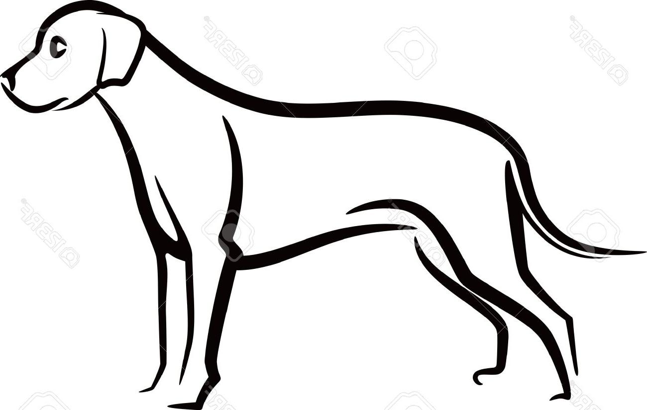 1300x825 Pug Clipart Outline 3823645