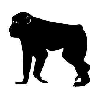 340x340 Free Silhouette Vector Mammals, Animal