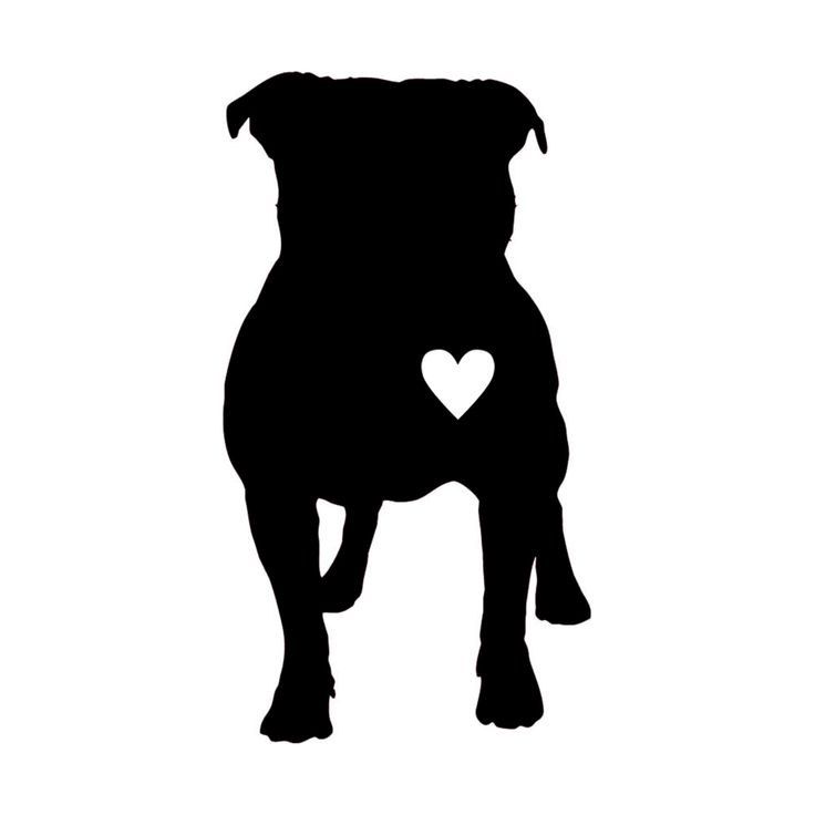 736x736 Pitbull Love Vinyl Decal By Fordycedesigns On Etsy Fordyce