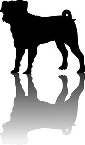 176x300 Sesam Street Clipart Abby Cadabby Many Interesting Cliparts