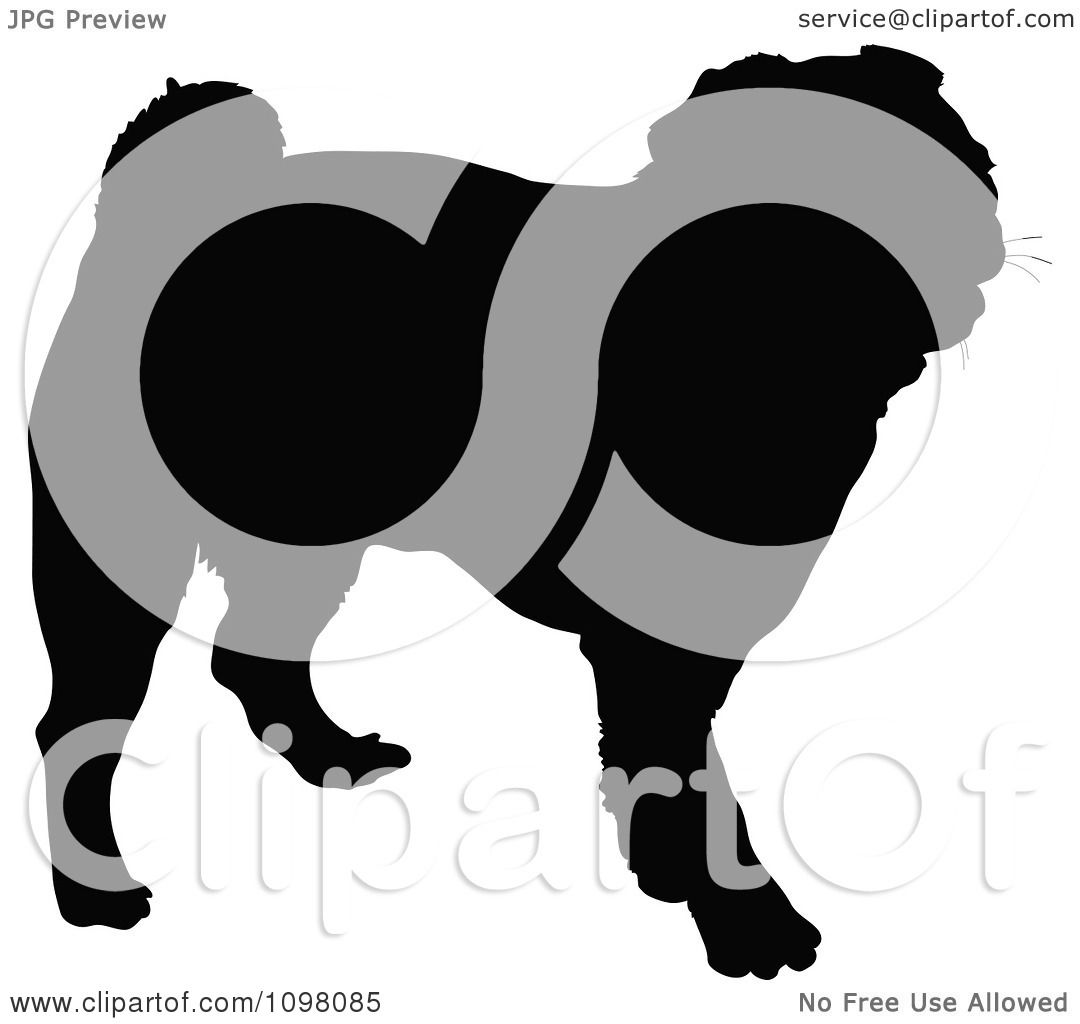 1080x1024 Clipart Silhouetted Pug Dog In Profile
