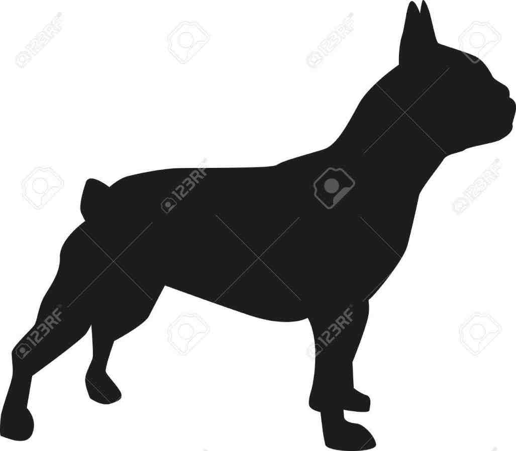 1027x897 French Bulldog Sitting Silhouette Animalsee.club