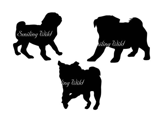 570x403 Pug Dog Svg Silhouette Puppy Svg Clipart Pug Mopshond Vector