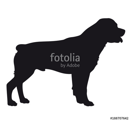 500x463 Rottweiler Dog