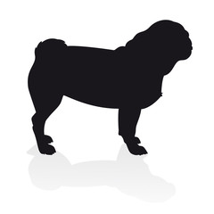 240x240 Search Photos By Vectorbox