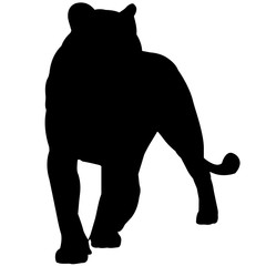 240x240 Puma Silhouette Vector Graphics