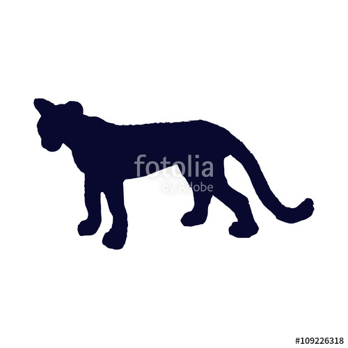 500x500 Puma Silhouette Stock Image And Royalty Free Vector Files
