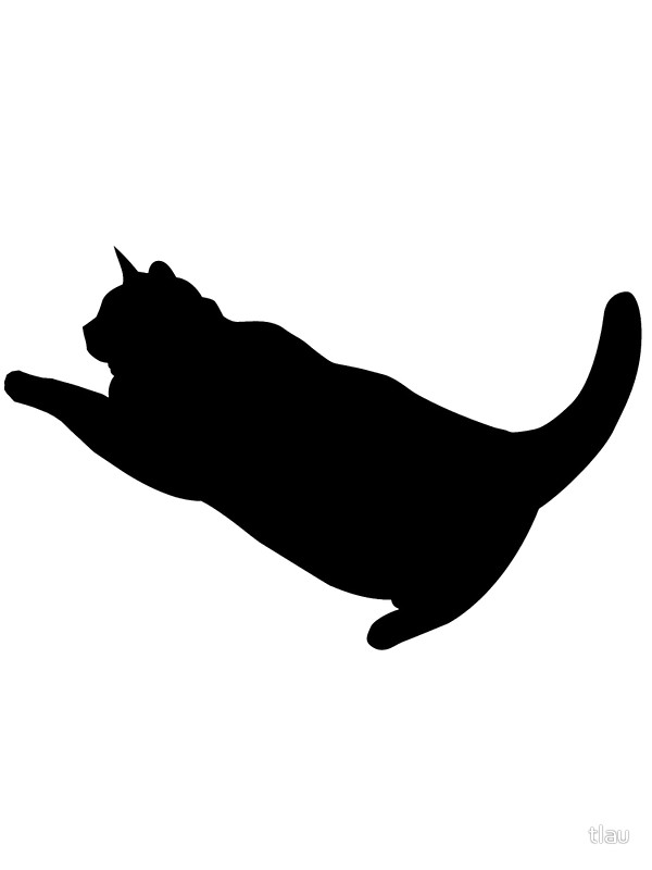 600x800 Fat Cat Puma Art Prints By Tlau Redbubble