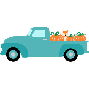 300x300 Silhouette Design Store