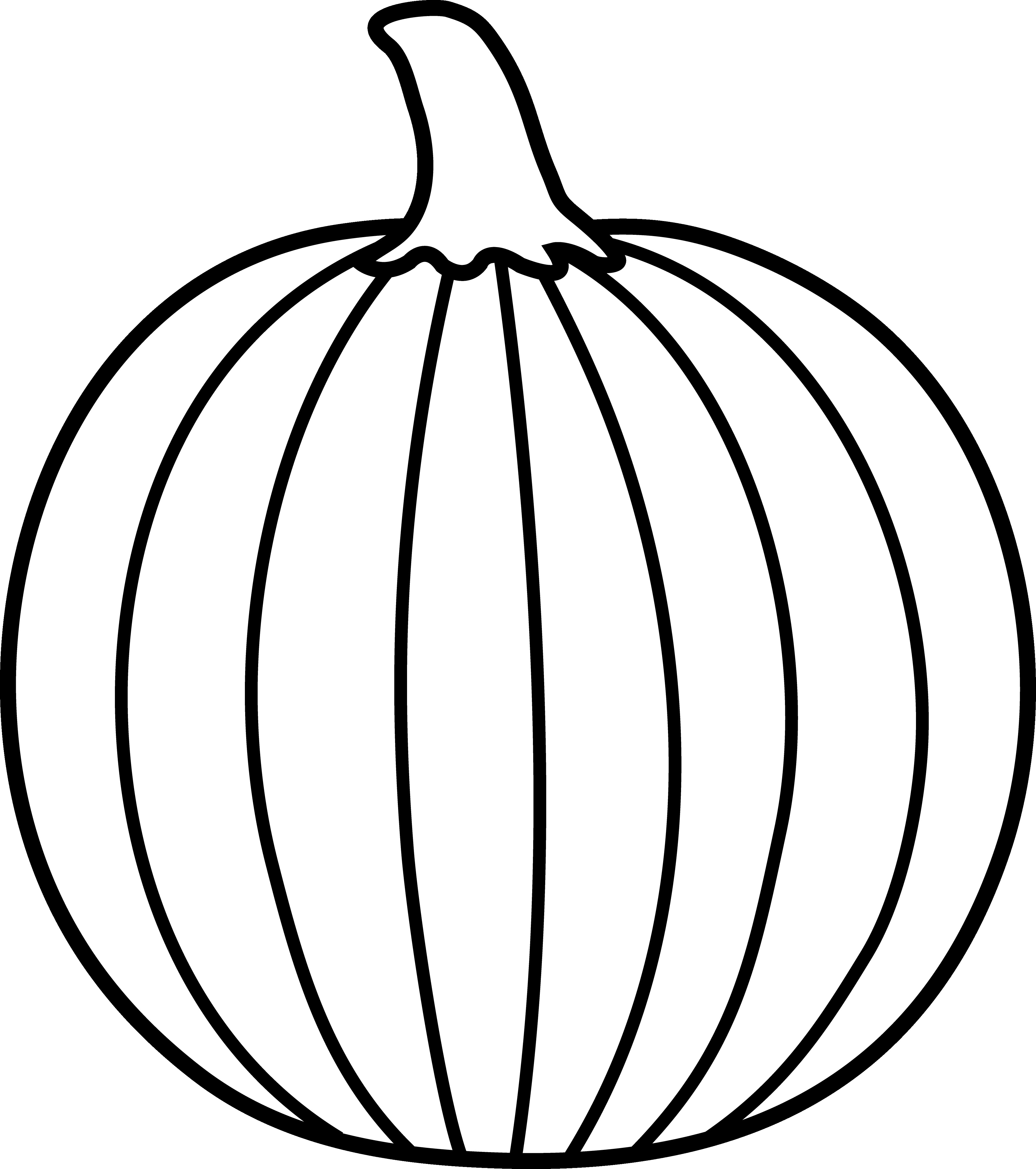 4057x4580 Pumpkins With Leaves Black Silhouette On White Background Vector