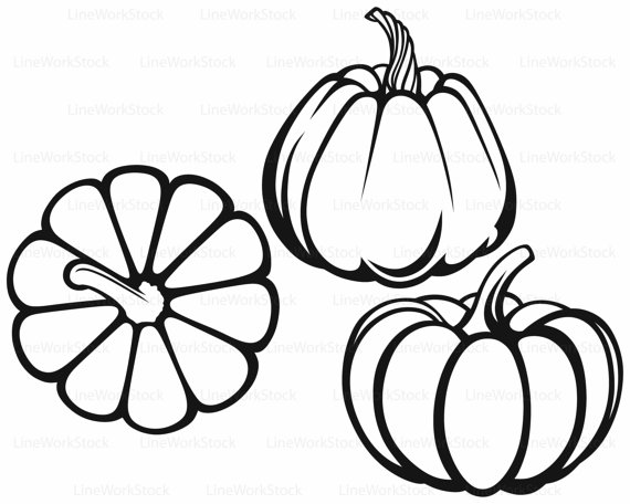 570x456 Pumpkins Svgclipartvegetables Svgpumpkins Silhouettepumpkins