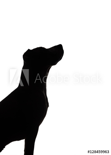 360x500 Dog Silhouette On White Background. Dark Contour Of A Puppy