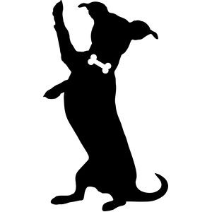 300x300 Silhouette Design Store