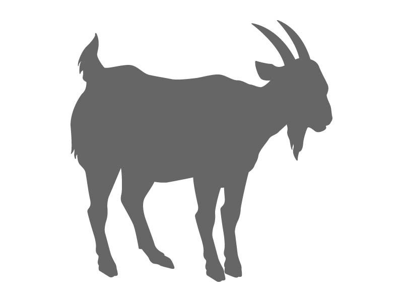 800x600 Farm Animal Stencil Shapes