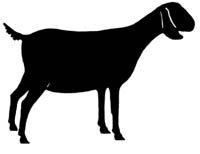 Pygmy Goat Silhouette at GetDrawings | Free download