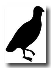 Quail Silhouette Clip Art