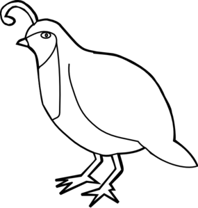 285x299 Quail Outline Clip Art