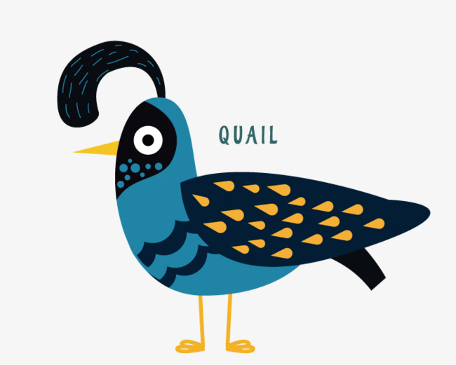 650x521 Quail Png Images Vectors And Psd Files Free Download On Pngtree