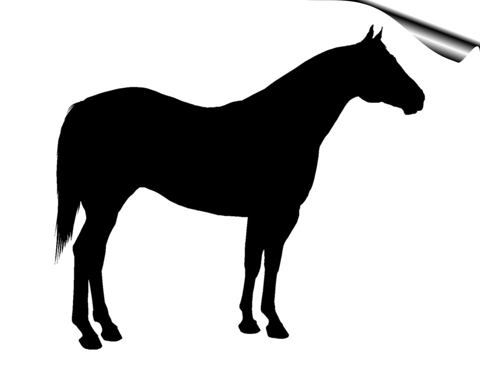 960x744 Image Result For Quarter Horse Silhouette Silhouettes Of Horses