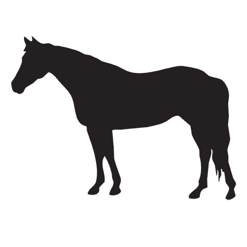 500x500 Magnetic Silhouette Set Quarter Horse