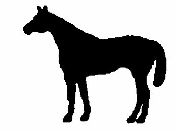 350x262 Quarter Horse Automotive Amp Horse Trailer Magnetic Silhouette