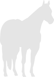 190x269 Quarter Horse Silhouette Stock Horse Silhouette By Cvance35