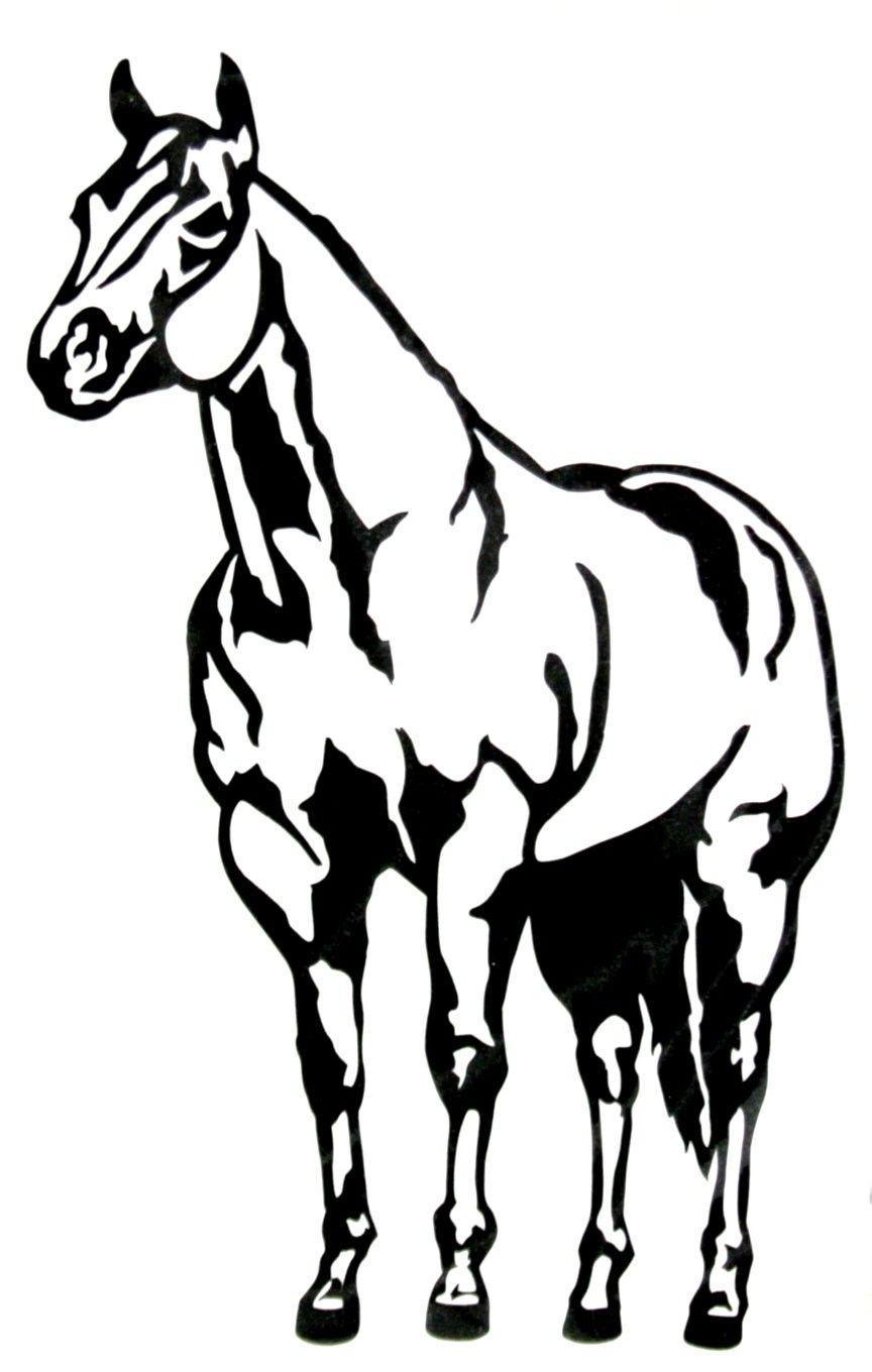 864x1360 Halter Horse Clipart