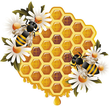 377x368 Bee Free Vector Download (295 Free Vector) For Commercial Use