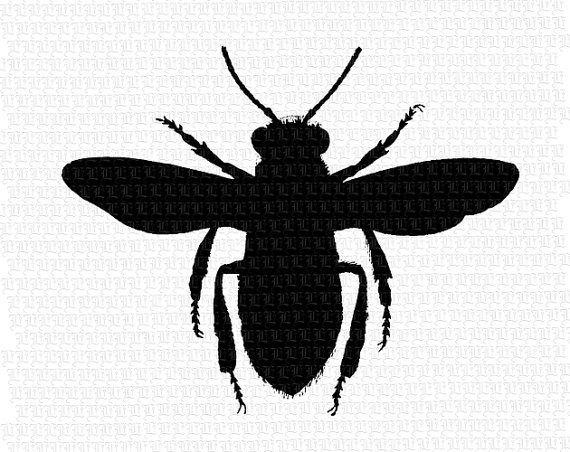 570x452 Digital Queen Bee Silhouette Printable High Quality Graphic