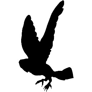 300x300 Harry Potter Flying Silhouette