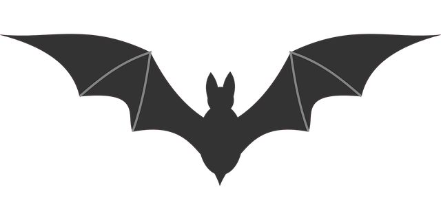 640x320 Quidditch Westend University