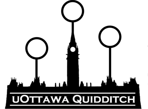 480x355 Quidditch Team Flipgive